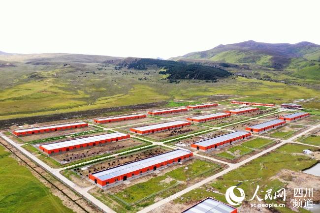建設(shè)中的理塘縣牦牛產(chǎn)業(yè)園。葉強(qiáng)平攝