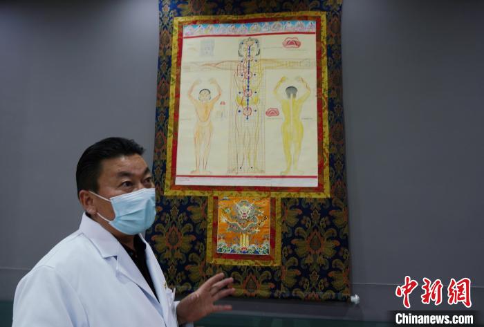 圖為興?？h藏醫(yī)院院長介紹藏醫(yī)四部醫(yī)典詳實圖?！●R銘言 攝