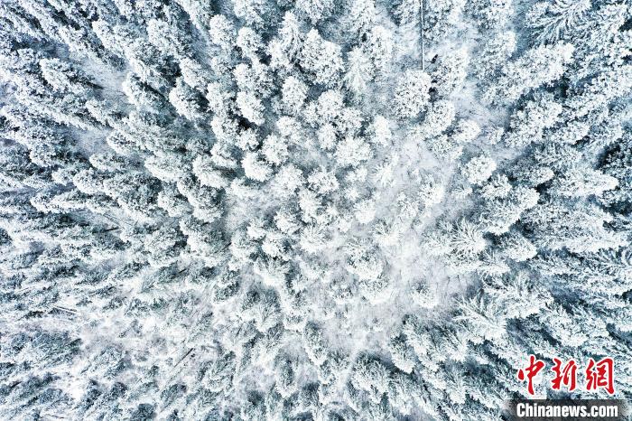 壤塘的雪后美景?！∪捞量h融媒體中心供圖