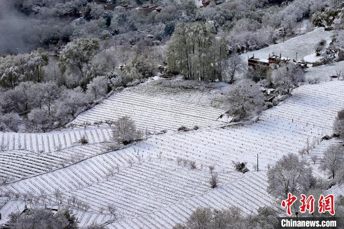 雪后的高山田間如畫。　李永安 攝