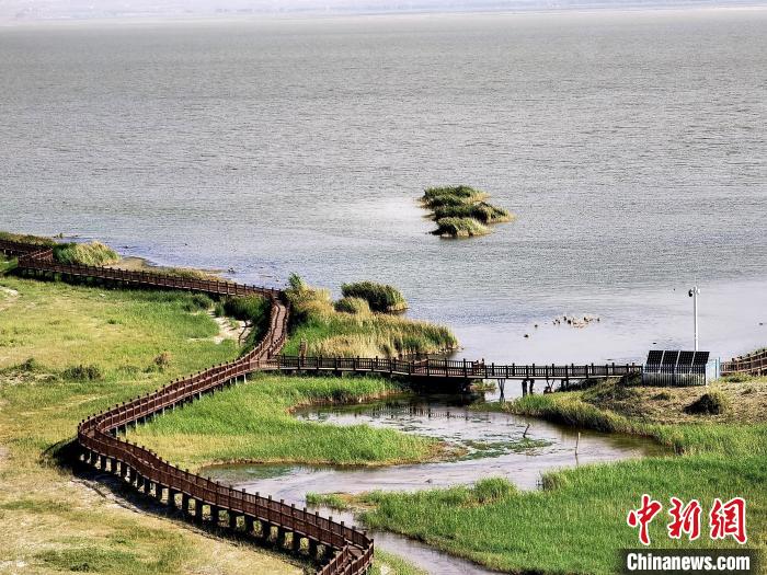 圖為都蘭湖國家濕地公園觀光棧道?！∑钤鲚?攝