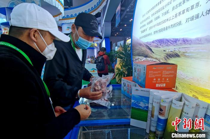 圖為青海參展商整理牛羊肉?！±铍h 攝