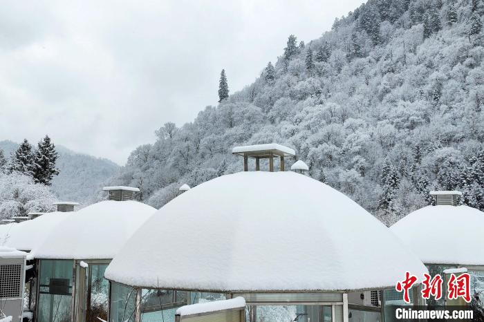 大熊貓國家公園王朗片區(qū)春雪如畫，宛若仙境?！×_春平 攝