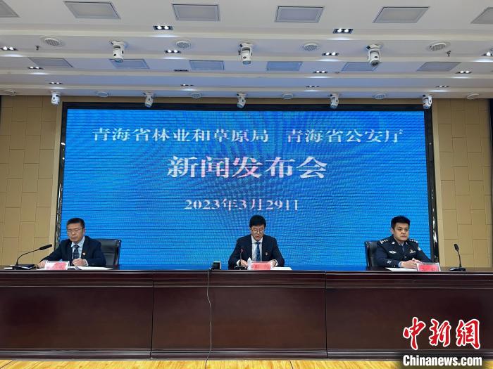 青海去年占用林地、草地準予許可件同比實現(xiàn)“雙減”