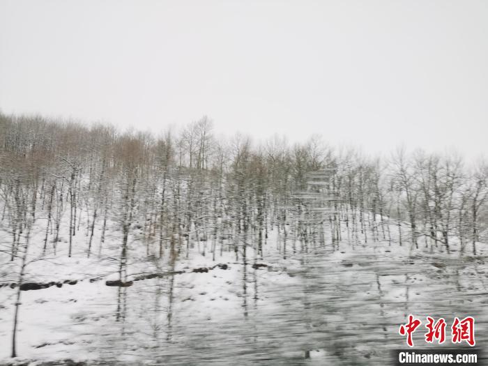 圖為青海青沙山區(qū)域被降雪覆蓋。　張?zhí)砀?攝