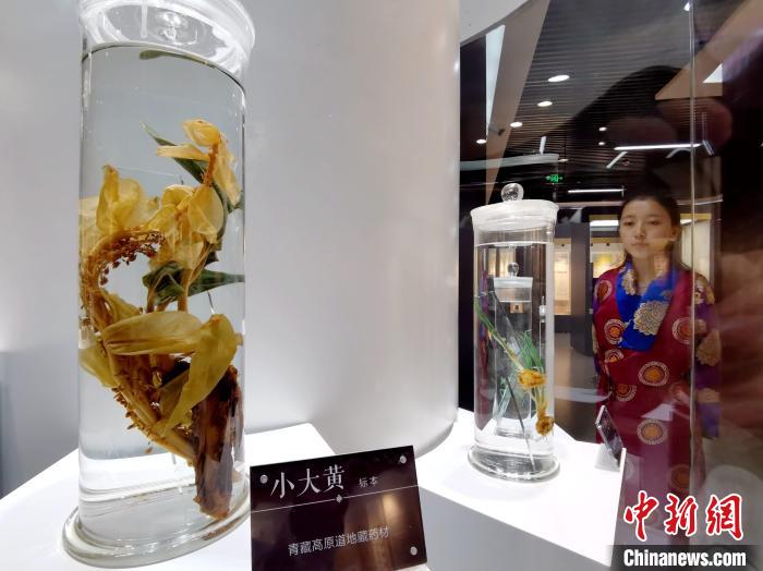 青海中藏醫(yī)藥發(fā)展提速：建設一批重點?？茖W科，推廣一批適宜技術