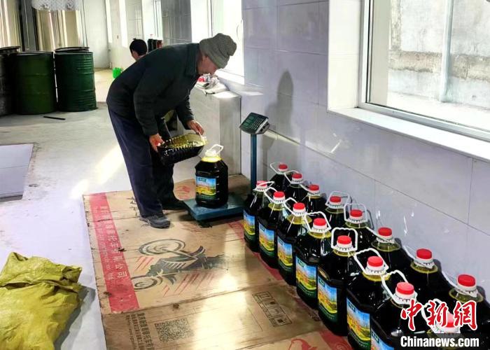 圖為高原油菜籽榨出的菜籽油?！埖么?攝