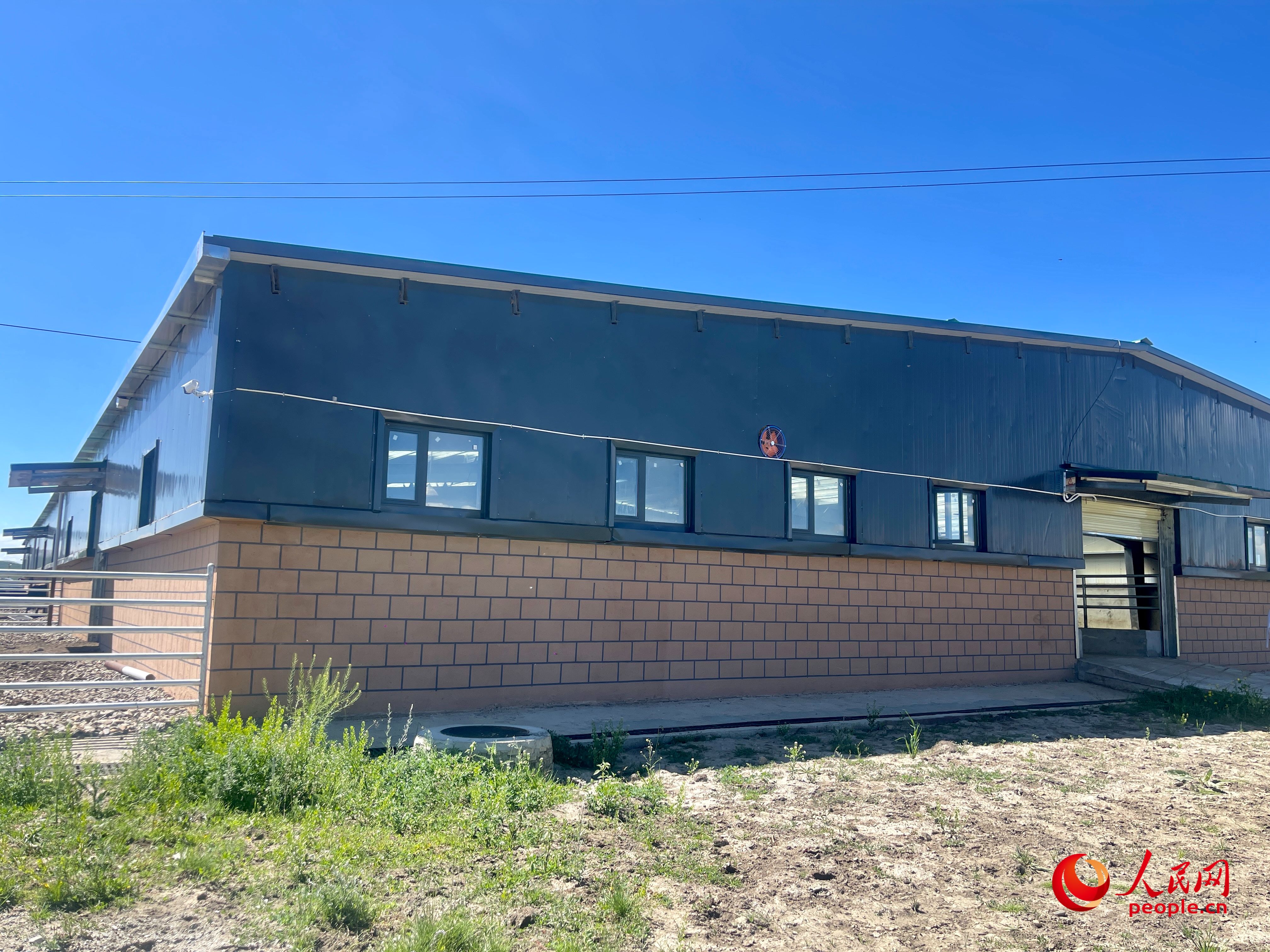 唐日合作社。人民網(wǎng) 周靜圓攝