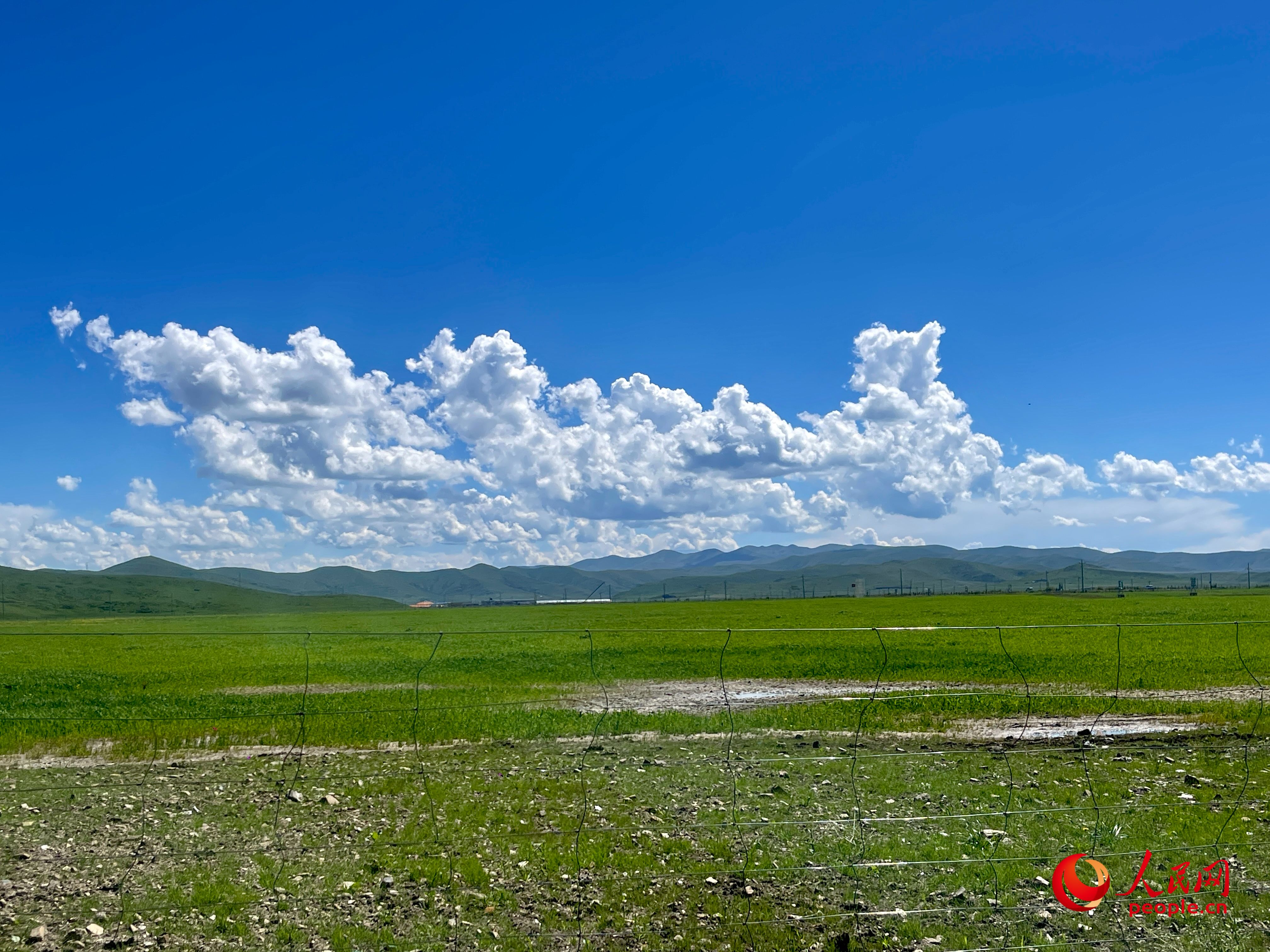 唐日合作社附近，藍(lán)天白天、綠草如茵。人民網(wǎng) 周靜圓攝