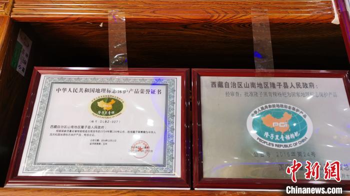 圖為2015年，隆子黑青稞成為中國(guó)國(guó)家地理標(biāo)志保護(hù)產(chǎn)品?！垈?攝