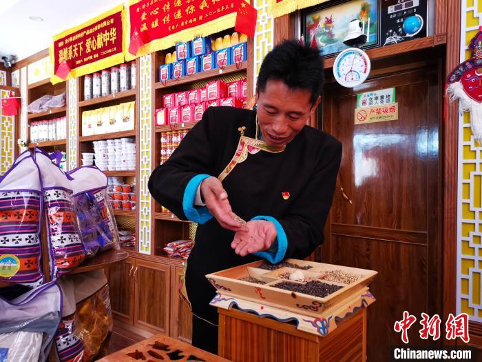 圖為洛桑旦增介紹青稞的功效?！垈?攝