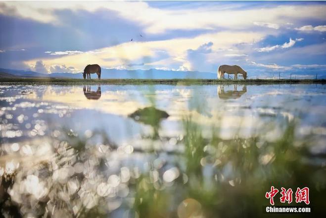 資料圖：那曲市申扎縣境內(nèi)的濕地。李雪峰 攝