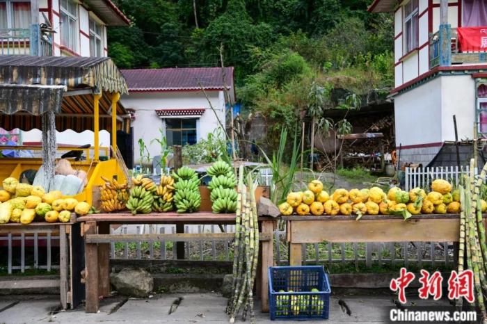 墨脫公路沿線，百姓擺攤銷售當?shù)匚锂a(chǎn)，包含香蕉、甘蔗、檸檬等。(<a target='_blank' href='/'><p  align=