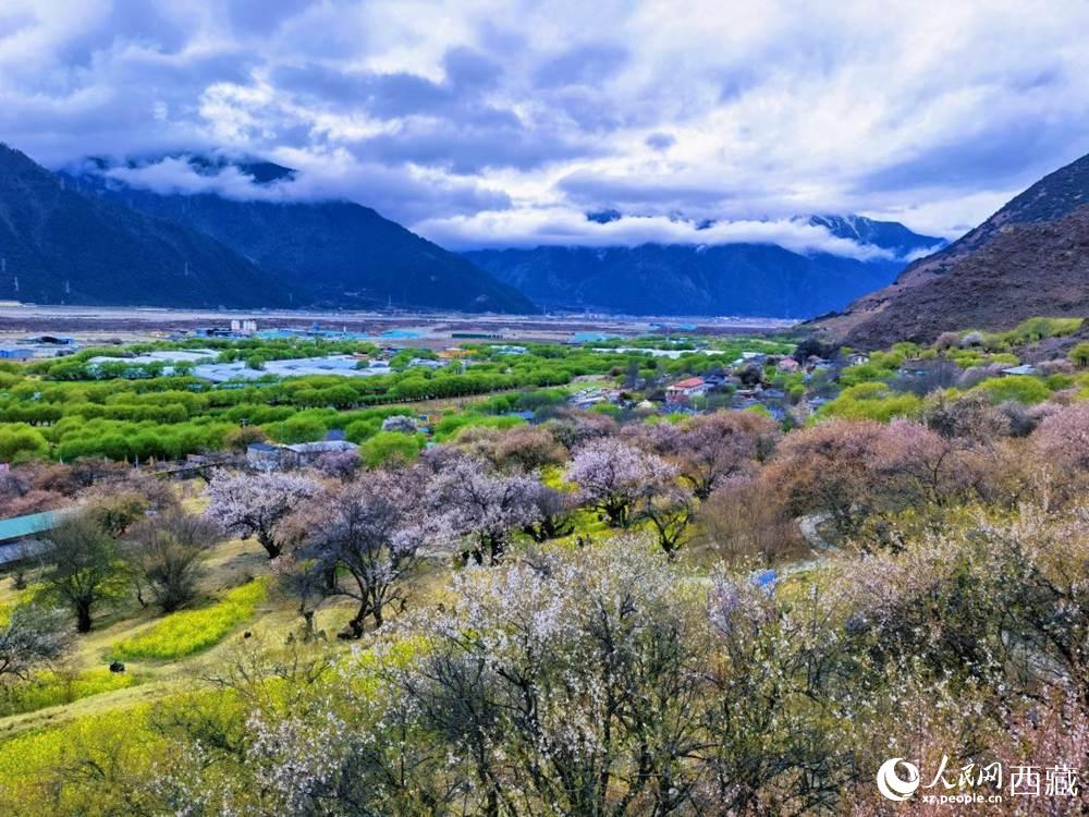 桃花從中的“童話小鎮(zhèn)”。人民網(wǎng) 李海霞攝