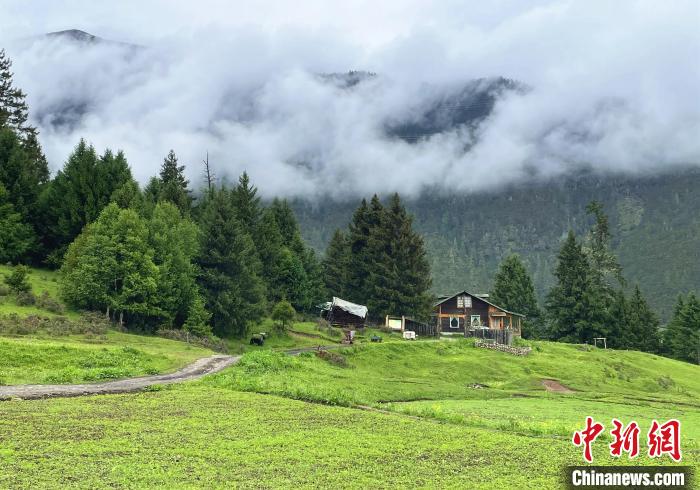 6月10日，魯朗小鎮(zhèn)高山牧場景區(qū)風(fēng)光?！∪轿木?攝