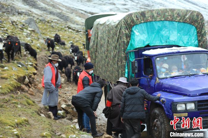 圖為牧民們查看車輛準備出發(fā)?！÷蹇?攝