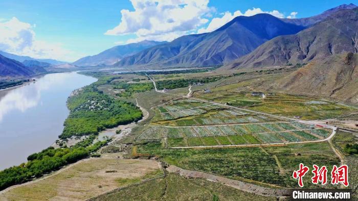圖為桑日縣葡萄種植基地。　山南桑日縣委宣傳部提供