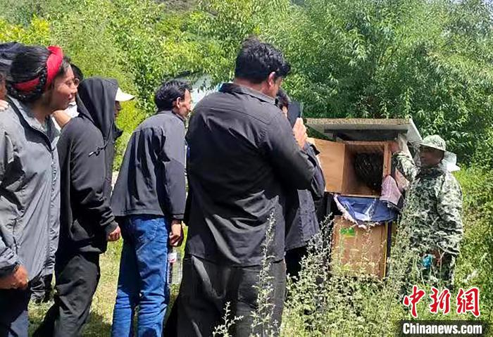 拉久西村村民學(xué)習(xí)養(yǎng)蜂工作流程和防范事項?！〔际忻⒖悼h委宣傳部供圖