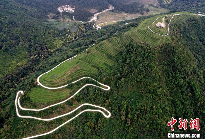 圖為西藏林芝市墨脫縣背崩鄉(xiāng)格林村山頂?shù)木坝^茶園。(無人機照片) 李林 攝