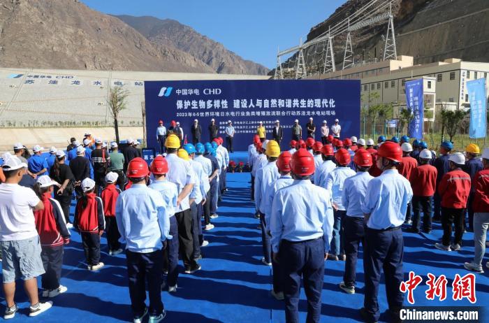 圖為蘇洼龍水電站魚類放流現(xiàn)場。　蘇洼龍水電站供圖