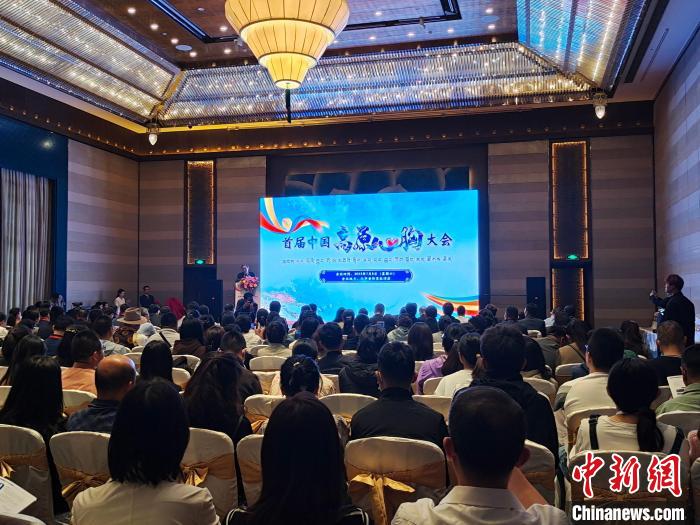 圖為首屆中國(guó)高原心胸大會(huì)現(xiàn)場(chǎng)。　頓旦旺姆 攝
