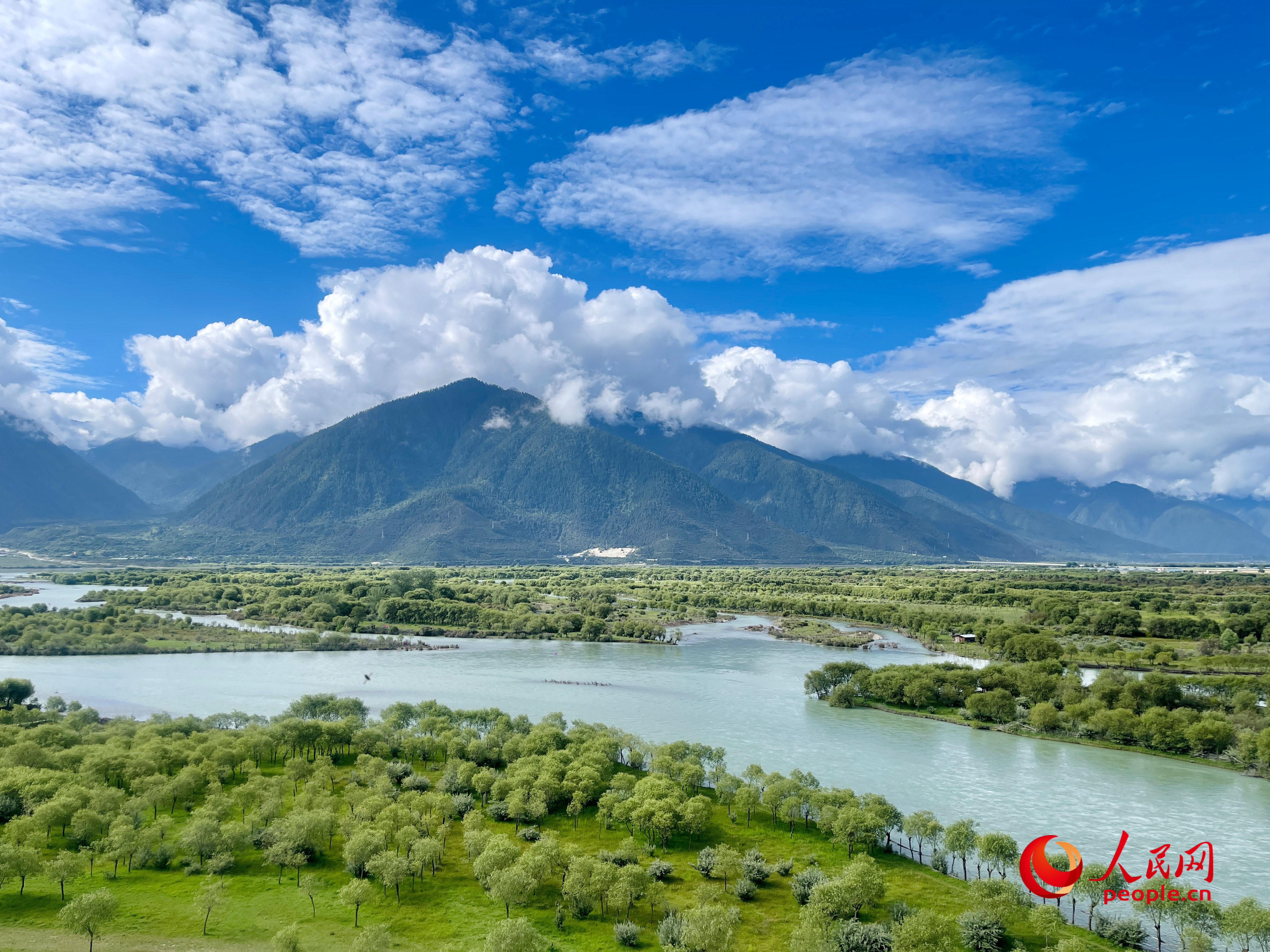 夏日的雅尼國(guó)家濕地公園生機(jī)盎然，如詩(shī)如畫(huà)。人民網(wǎng) 周靜圓攝