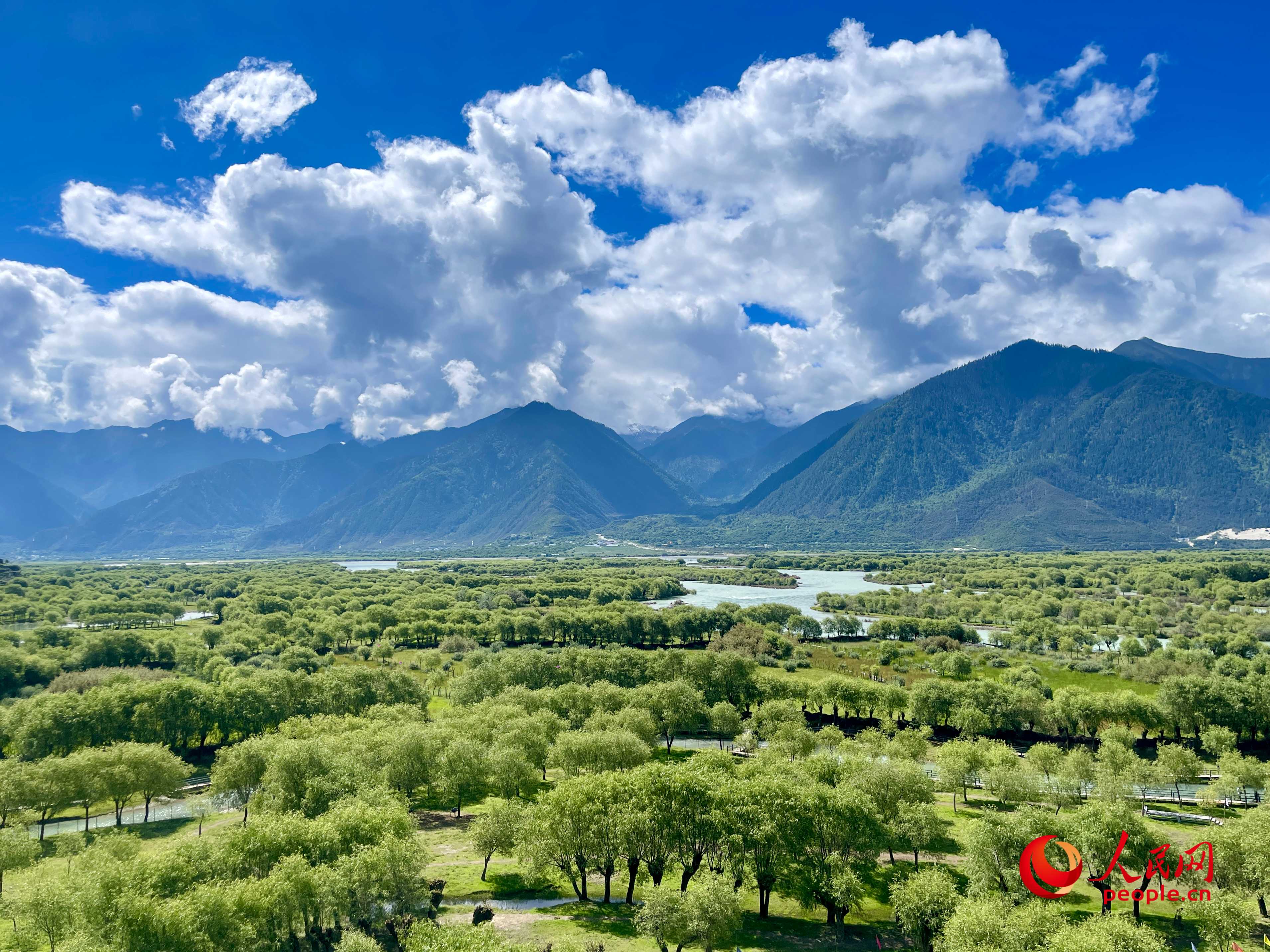 夏日的雅尼國(guó)家濕地公園生機(jī)盎然，如詩(shī)如畫(huà)。人民網(wǎng) 周靜圓攝