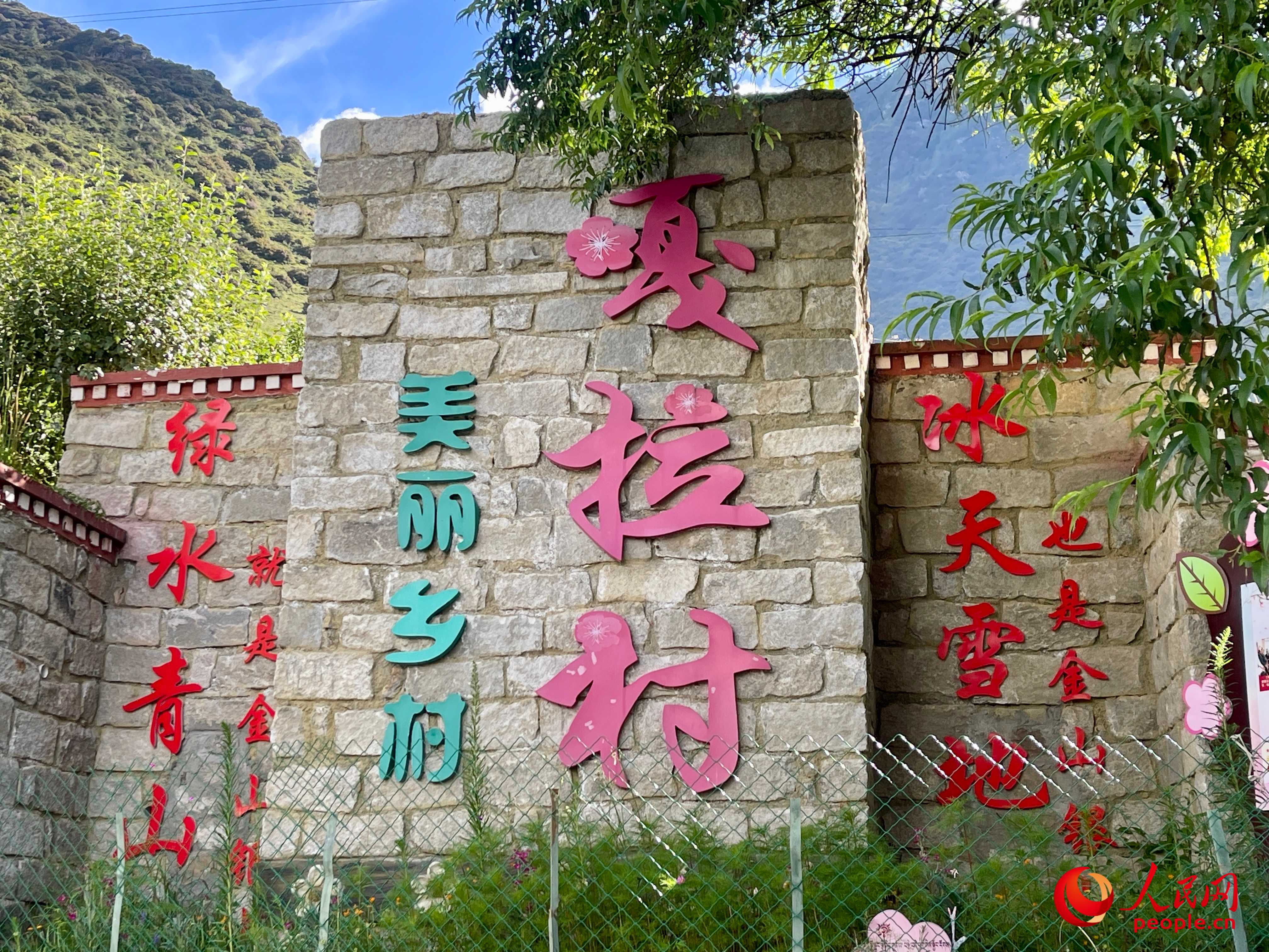 林芝鎮(zhèn)嘎拉村。人民網 周靜圓攝
