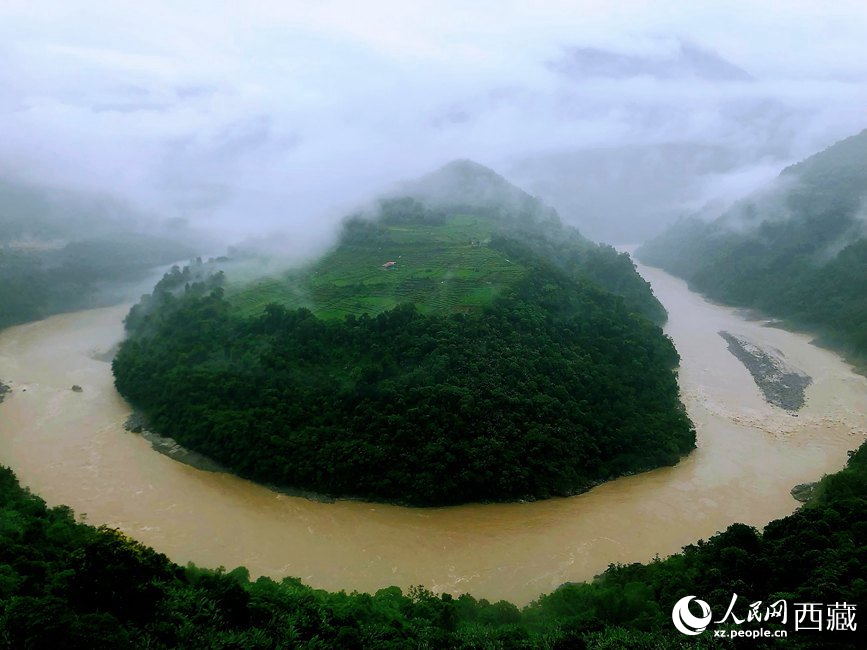 雅魯藏布江大峽谷蛇形拐彎處，山坡上種滿茶樹。