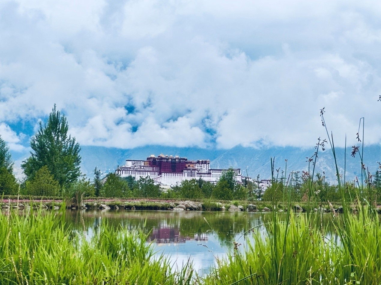 在南山公園遠(yuǎn)眺布達(dá)拉宮。人民網(wǎng)記者 益西康珠攝
