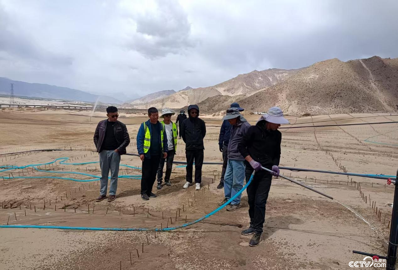 拉薩南北山綠化工程貢嘎段11號片區(qū)開展生態(tài)修復工程(主辦方供圖)