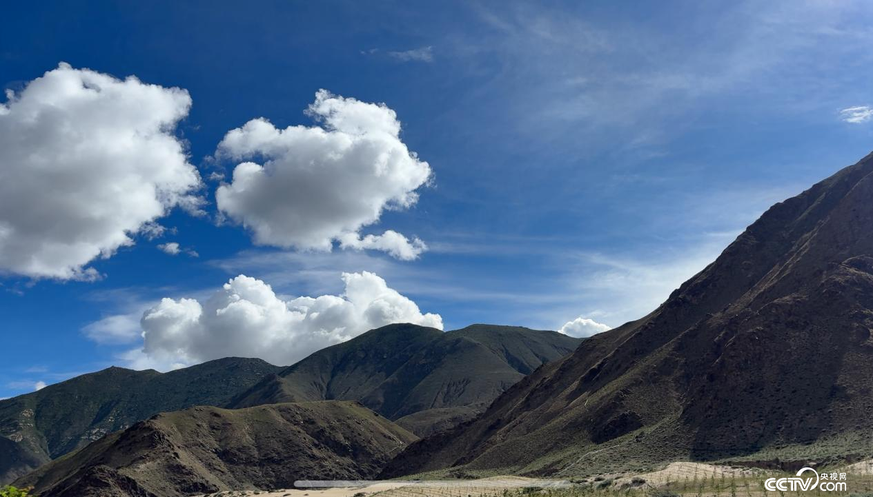 拉薩南北山綠化工程貢嘎段11號片區(qū)(攝影 李婷婷)