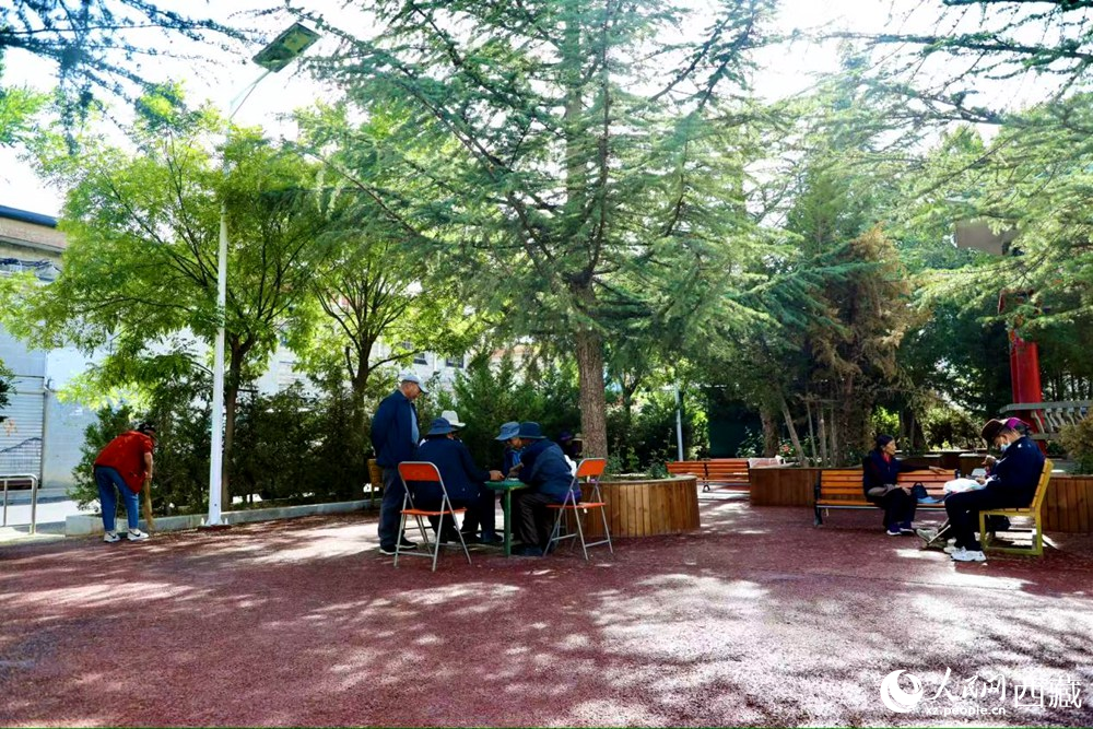老人們?cè)诰G樹(shù)成蔭的“社區(qū)會(huì)客廳”中對(duì)弈休憩。人民網(wǎng)記者 次仁羅布攝