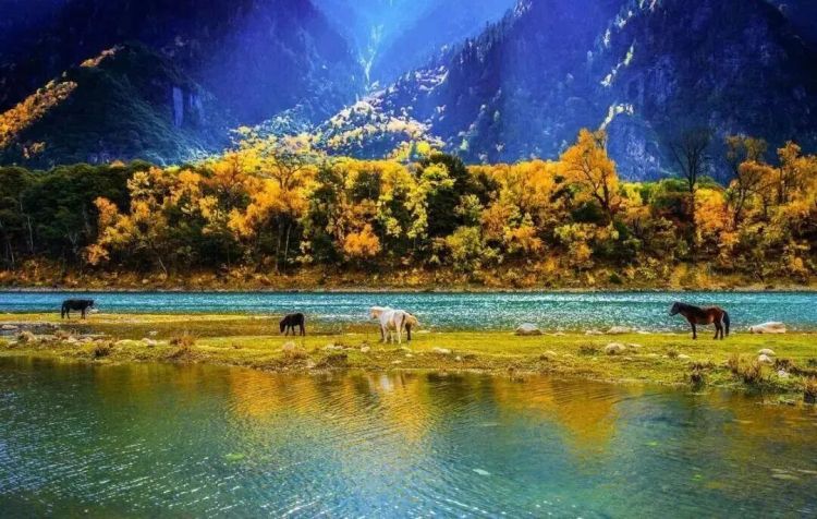 懂西藏的人，一定不會(huì)錯(cuò)過林芝的秋天