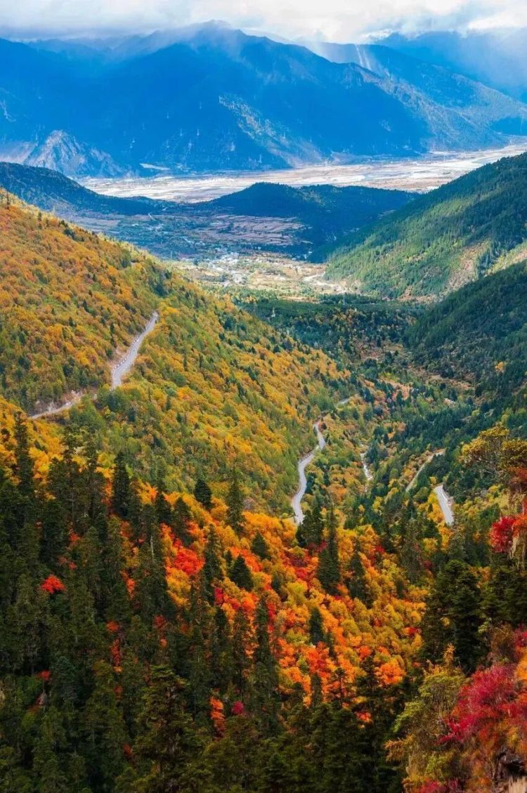 懂西藏的人，一定不會(huì)錯(cuò)過林芝的秋天