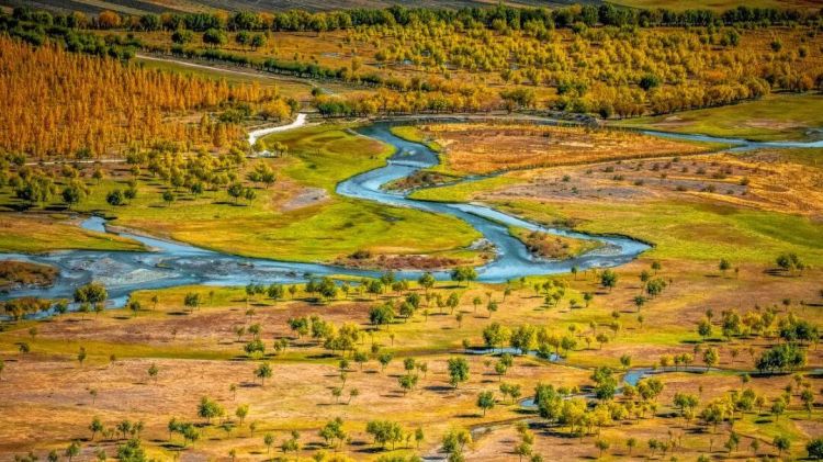 懂西藏的人，一定不會(huì)錯(cuò)過林芝的秋天