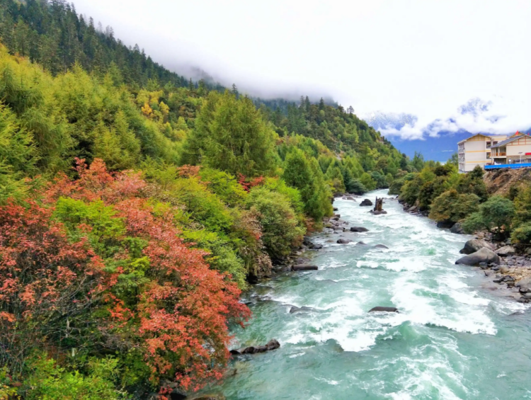 懂西藏的人，一定不會(huì)錯(cuò)過林芝的秋天