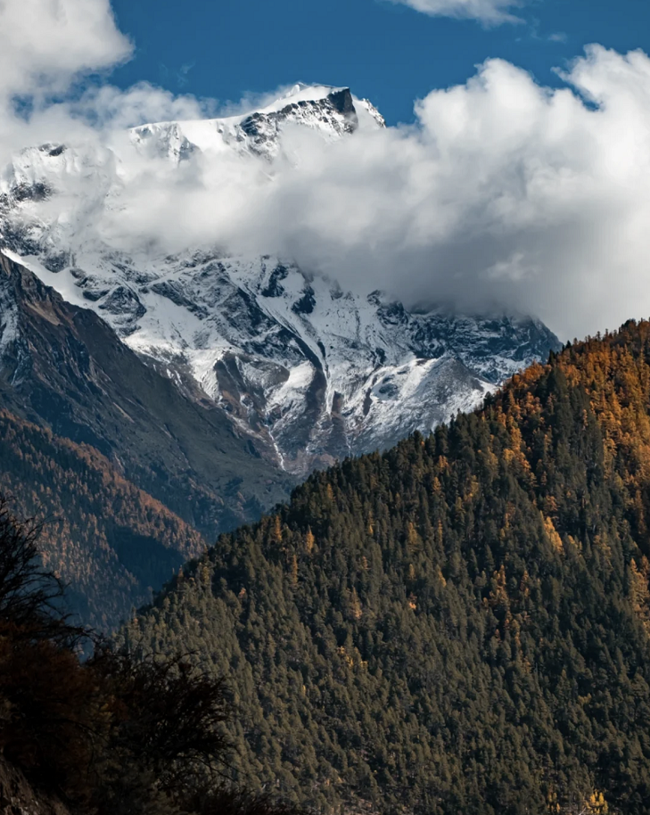 懂西藏的人，一定不會(huì)錯(cuò)過林芝的秋天